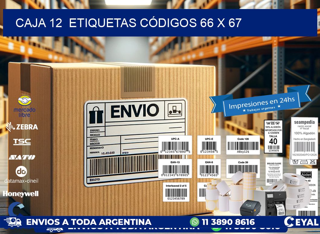 CAJA 12  ETIQUETAS CÓDIGOS 66 x 67