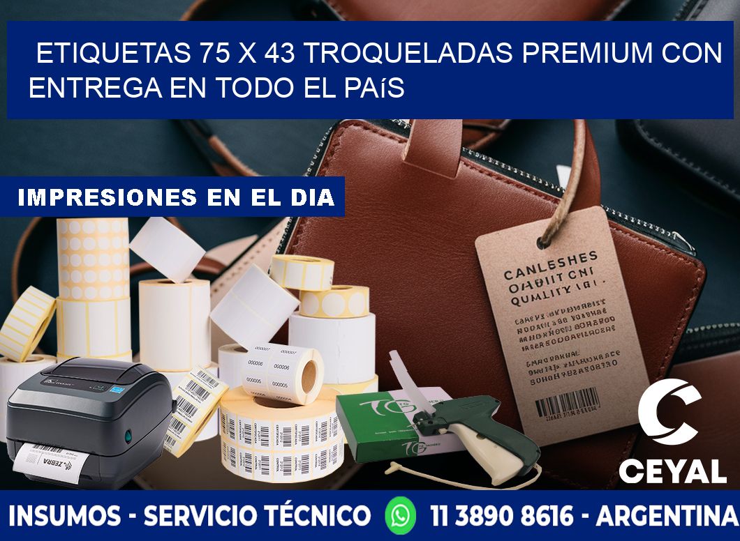 Etiquetas 75 x 43 troqueladas premium con entrega en todo el país