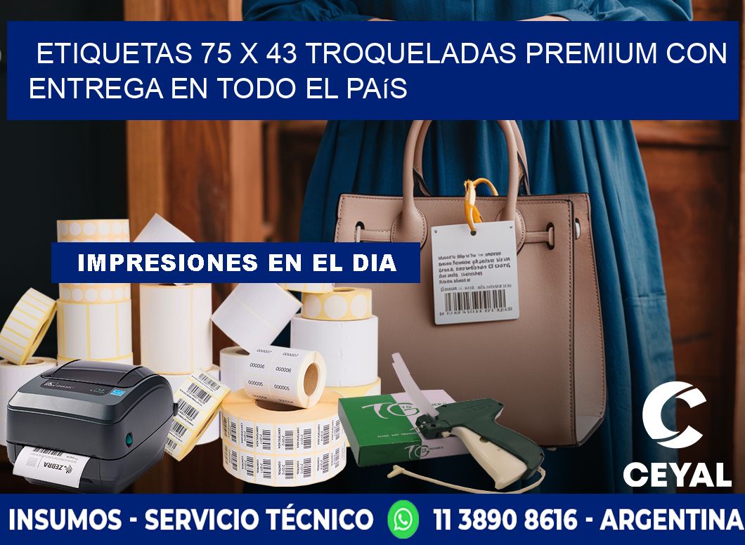 Etiquetas 75 x 43 troqueladas premium con entrega en todo el país