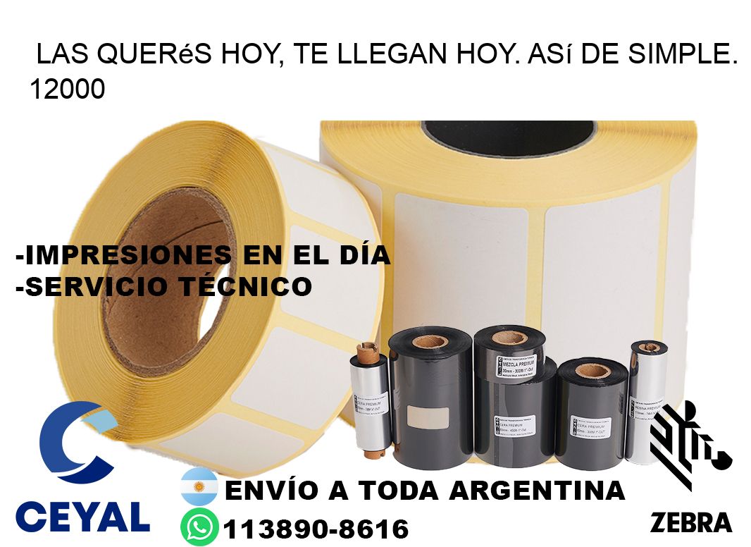 Las Querés Hoy, Te Llegan Hoy. Así de Simple. 12000