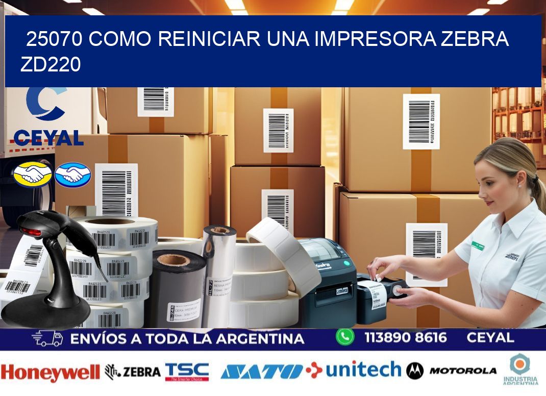 25070 Como reiniciar una impresora Zebra ZD220