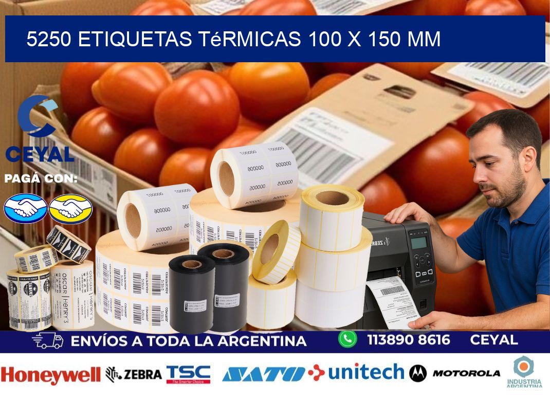5250 Etiquetas Térmicas 100 X 150 Mm