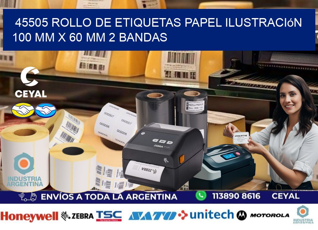 45505 Rollo de Etiquetas Papel Ilustración 100 mm x 60 mm 2 Bandas