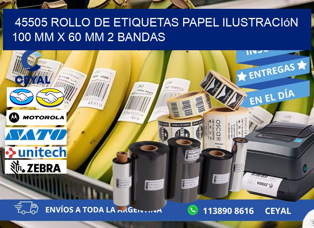 45505 Rollo de Etiquetas Papel Ilustración 100 mm x 60 mm 2 Bandas