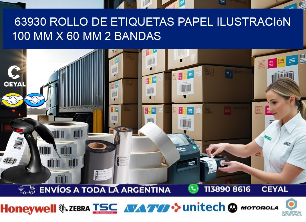 63930 Rollo de Etiquetas Papel Ilustración 100 mm x 60 mm 2 Bandas