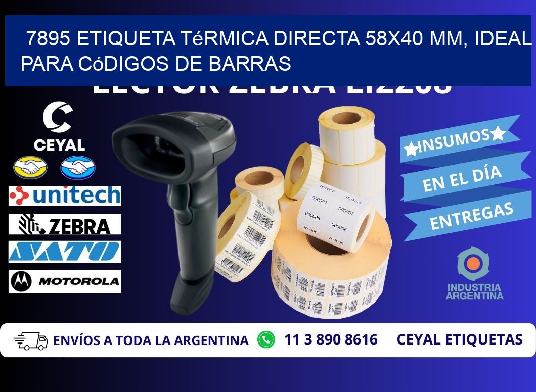 7895 Etiqueta Térmica Directa 58x40 mm, ideal para códigos de barras