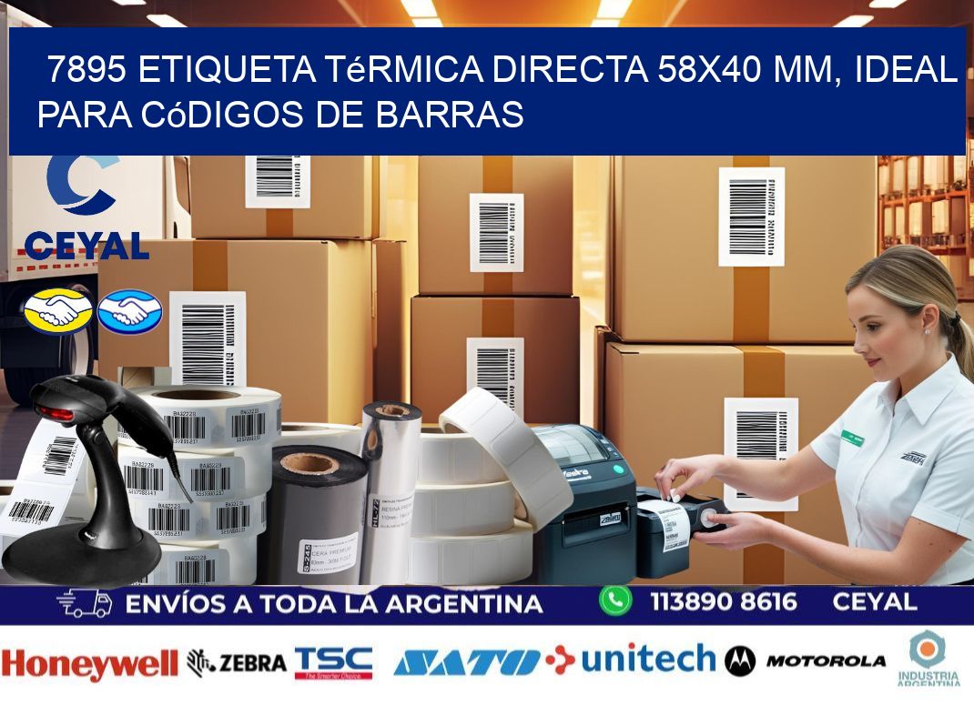 7895 Etiqueta Térmica Directa 58x40 mm, ideal para códigos de barras