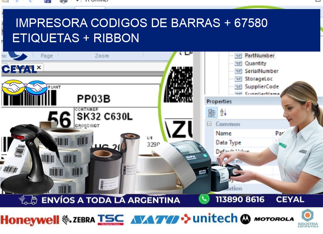 impresora codigos de barras + 67580 etiquetas + ribbon