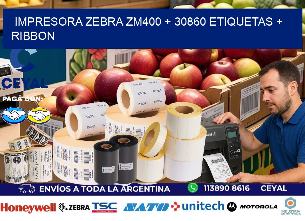 impresora zebra zm400 + 30860 etiquetas + ribbon
