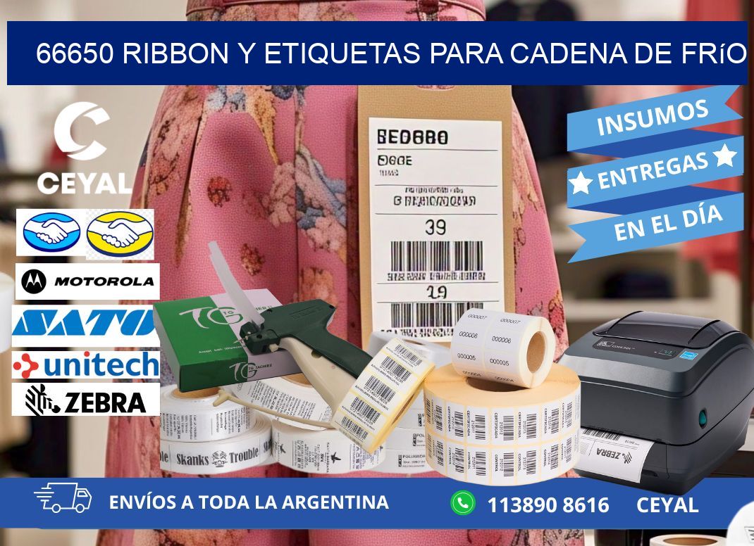 66650 ribbon y etiquetas para cadena de frío