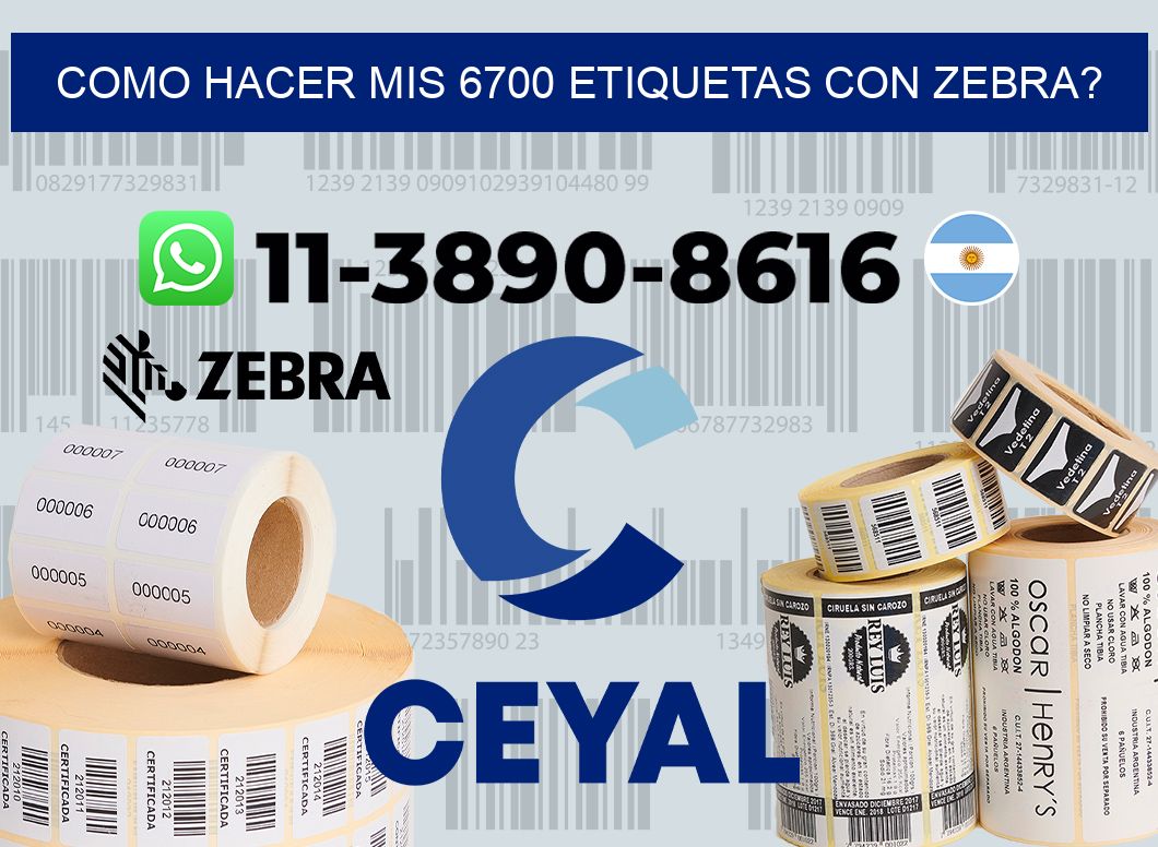 como hacer mis 6700 etiquetas con zebra?