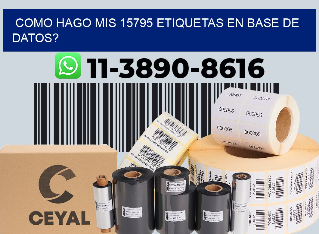 como hago mis 15795 etiquetas en base de datos?