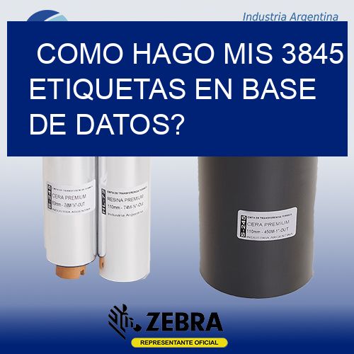 como hago mis 3845 etiquetas en base de datos?