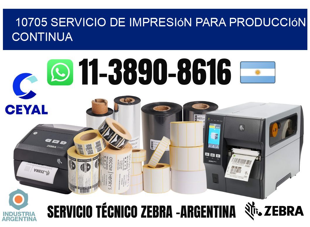 10705 Servicio de impresión para producción continua