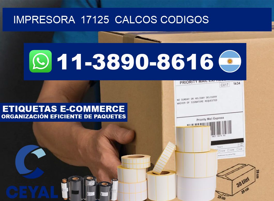 impresora  17125  calcos codigos