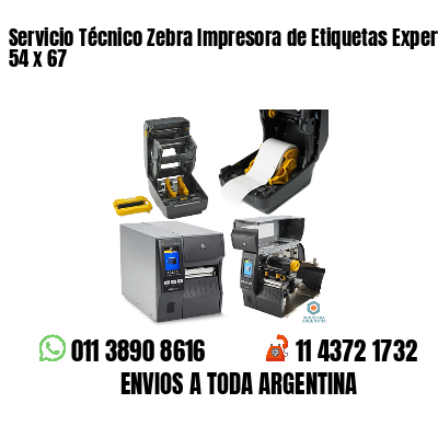 Servicio Técnico Zebra Impresora de Etiquetas Experto 54 x 67