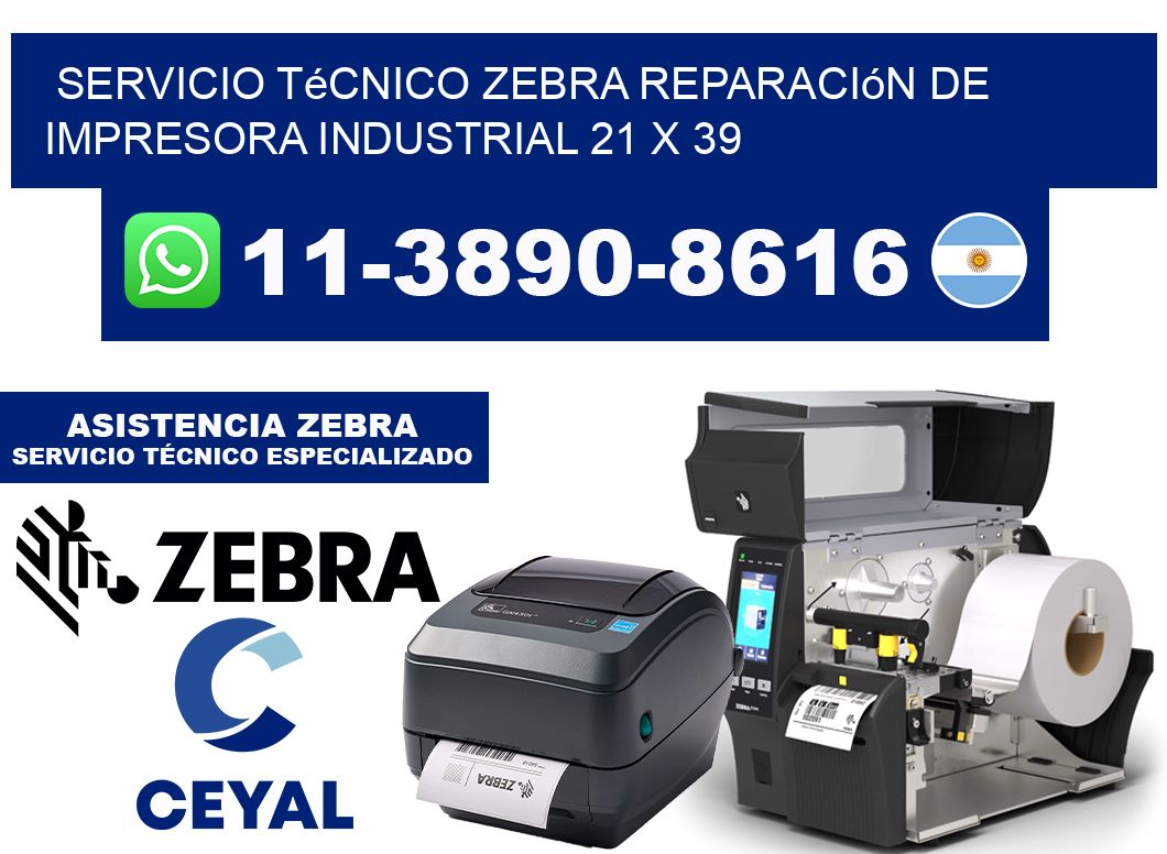 Servicio Técnico Zebra Reparación de Impresora Industrial 21 x 39