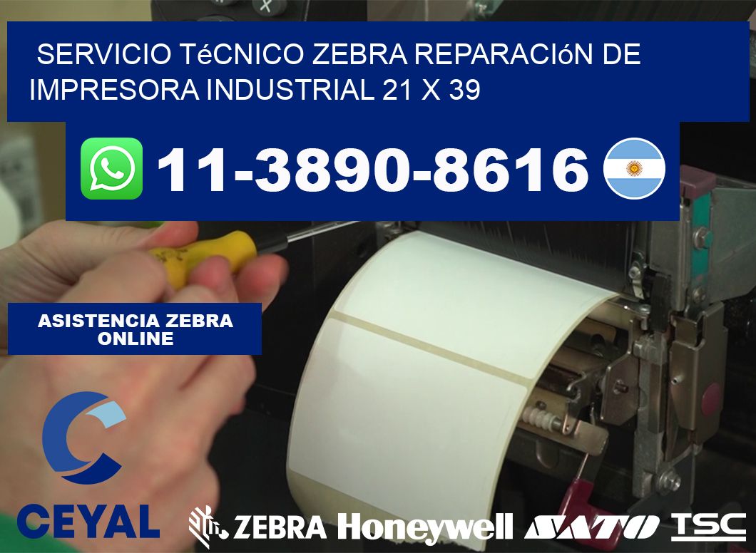 Servicio Técnico Zebra Reparación de Impresora Industrial 21 x 39