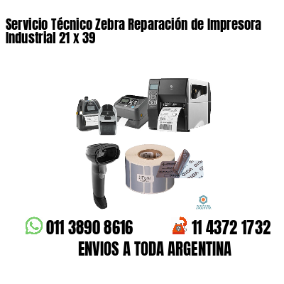 Servicio Técnico Zebra Reparación de Impresora Industrial 21 x 39