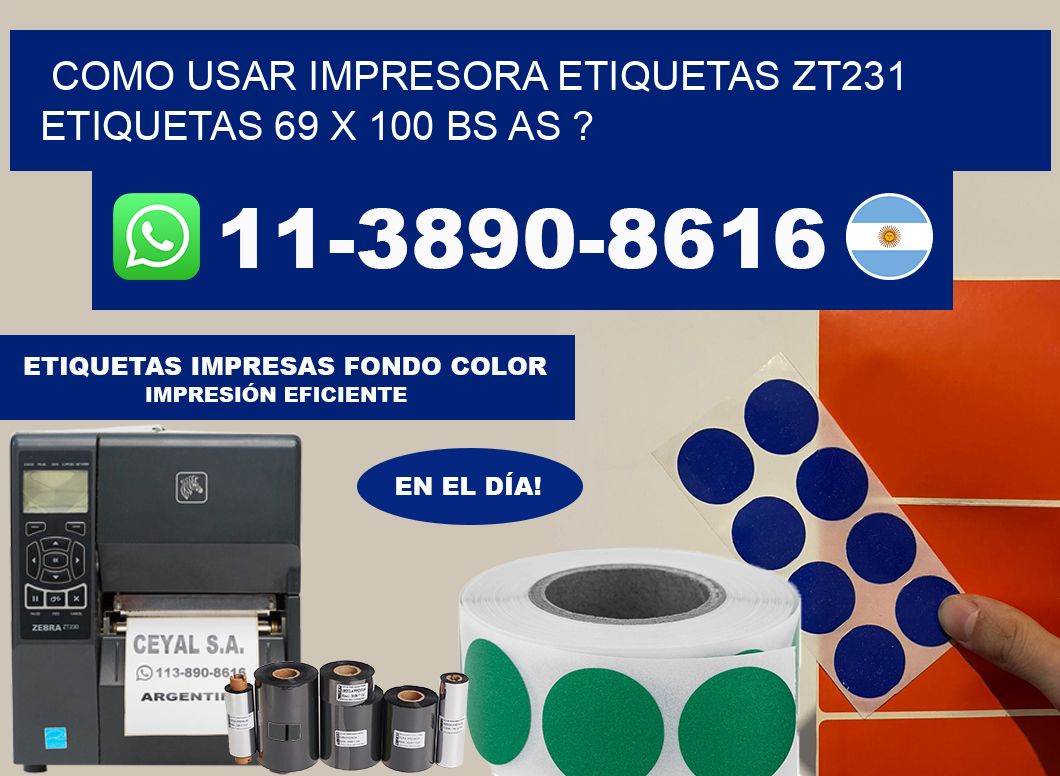 como usar impresora etiquetas zt231 etiquetas 69 x 100 BS AS ?