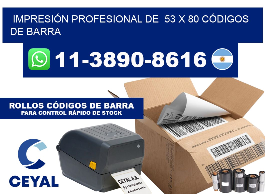 IMPRESIÓN PROFESIONAL DE 53 x 80 CÓDIGOS DE BARRA