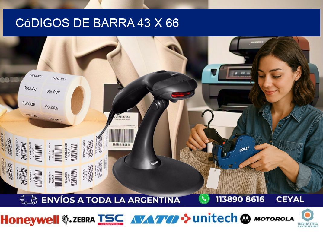 códigos de barra 43 x 66