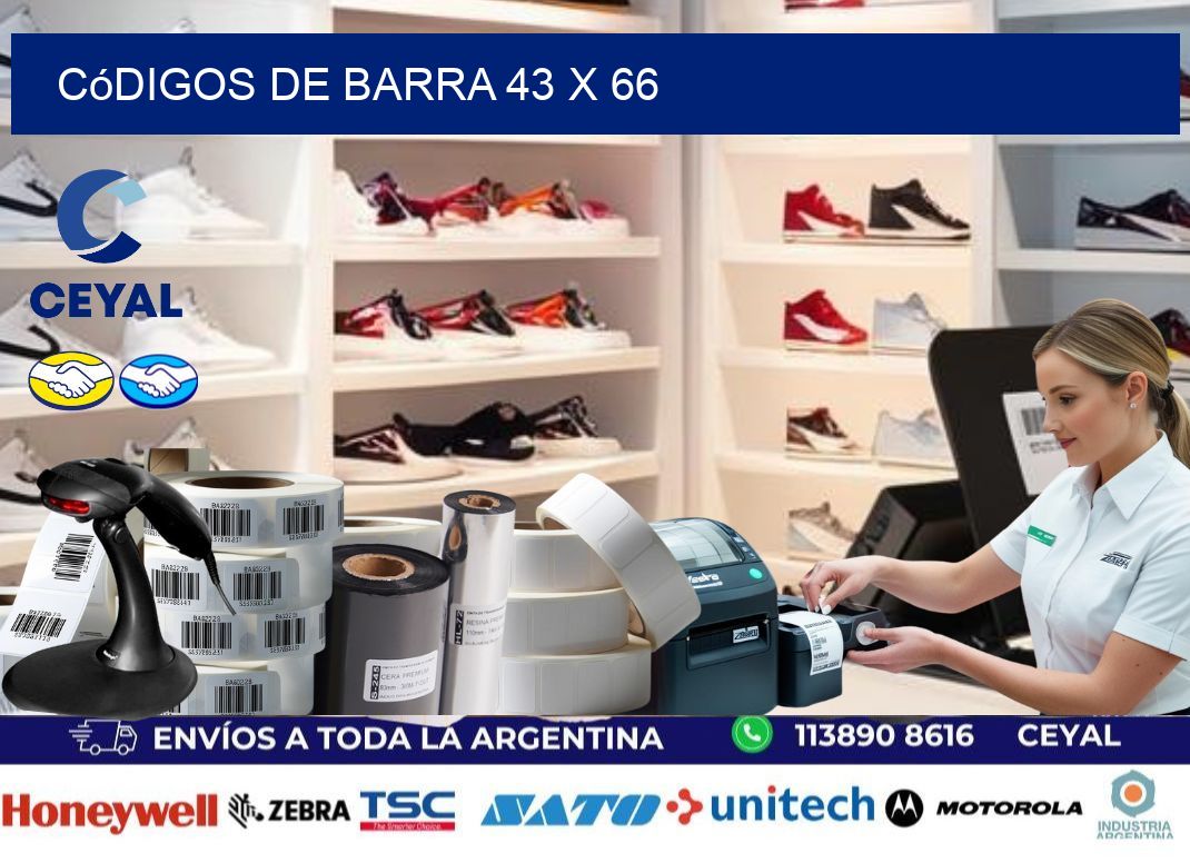 códigos de barra 43 x 66